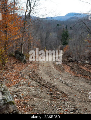 Una strada di registrazione andando su per una collina ripida in Montagne Adirondack, nel tardo autunno. Foto Stock