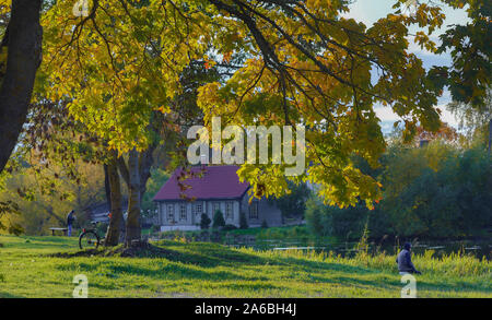 Paesaggio autunnale dorato con un albero in primo piano e una casa di legno dietro di esso Foto Stock