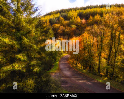 Viste autunnali dal suolo e antenna di foglie d'oro lungo un percorso a piedi e una strada di piegatura oltre il ponte in montagna Foto Stock