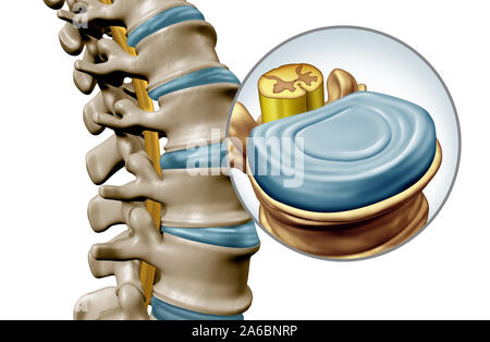 La colonna lombare anatomia del disco segmento concetto medico come un close up umano Scheletro indietro come un ingrandimento vertebrale con un midollo spinale e disco. Foto Stock