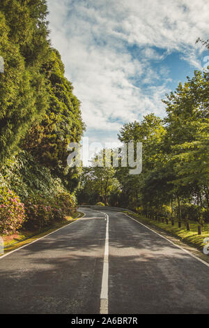 Strada vuota è leader attraverso il bellissimo paesaggio dell'isola di Sao Miguel, Azzorre, Portogallo