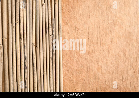 Canne secche in una fila sullo sfondo di legno. Foto Stock