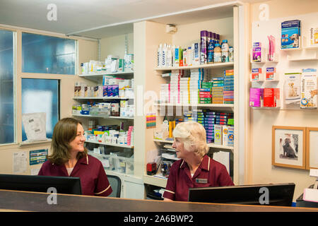 Due femmina infermieri veterinari sulla ricezione di un veterinari locali Foto Stock