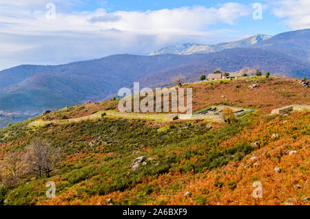 Vedute aeree di pareti datata In Età del Ferro datato nel terzo secolo A.C. In Castro Veton De El Freillo. Dicembre 15, 2018. El Raso Avila Castilla Foto Stock
