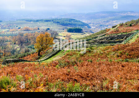 Vedute aeree di pareti datata In Età del Ferro datato nel terzo secolo A.C. In Castro Veton De El Freillo sullo sfondo la splendida valle di Foto Stock