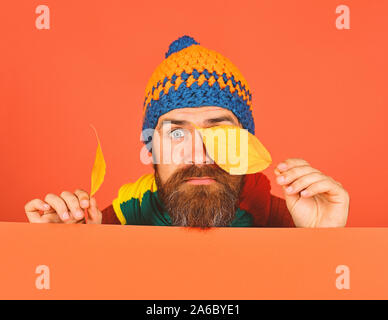 In autunno e il freddo concetto. Ottobre e Novembre tempo idea. Hipster con la barba e sorpresi di fronte si chiude gli occhi con foglia. Uomo in hat detiene il ciliegio foglie su sfondo arancione, spazio di copia Foto Stock