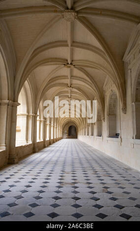 Chiostri all Abbazia di Fontevraud, Loire, Francia. Luogo di sepoltura di Plantagenet re e regine, intricate sculture chiostro con soffitto a volta Foto Stock