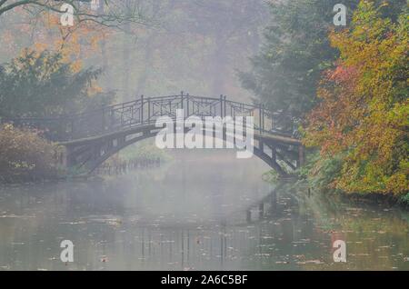 Autunno magnifico paesaggio di mattina. Incantevole ponte tra colorate alberi in un parco della città. Foto Stock