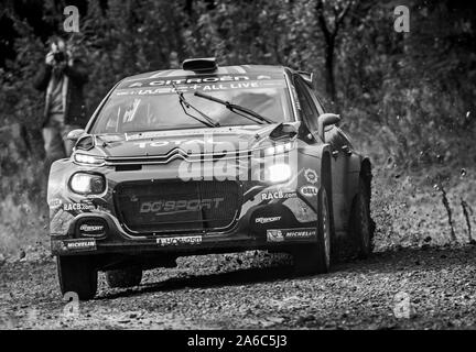 Auto 56, Driver Guillaume de Mevius, Co-Driver Martijn Wydaeghe, Rally Galles GB, giorno 3, Brenig stadio di foresta Foto Stock