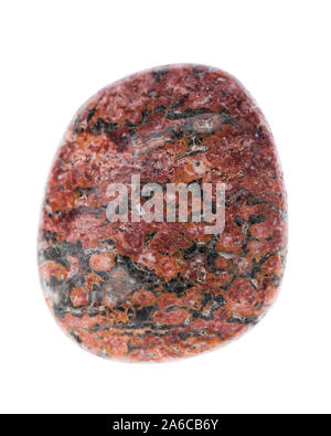 Minerali: Leopard jasper isolati su sfondo bianco Foto Stock