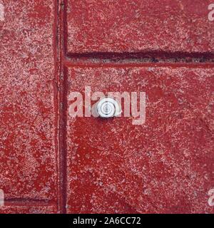 Poco bianco va a passo di lumaca sulla terra rossa Foto Stock