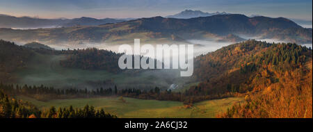 Panorama di piccole Pieniny nella nebbia e monti Tatra nella luce di sunrise, Polonia Foto Stock