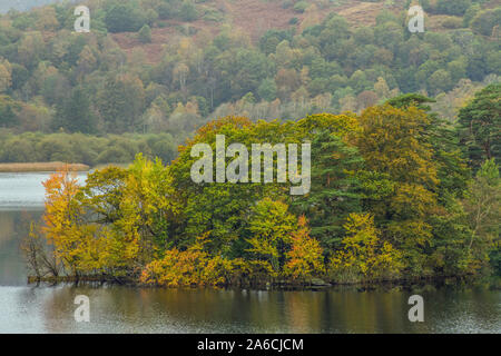 Isola su Rydal Acqua nel Lake District National Park Cumbria con i suoi alberi che lentamente girare l'oro di autunno e giallo come gli alberi sulla fellside Foto Stock