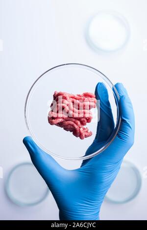 Immagine concettuale della carne coltivate coltivate in laboratorio. Foto Stock