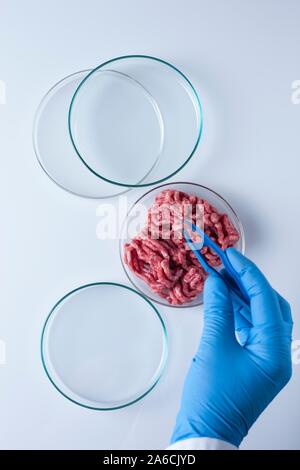 Immagine concettuale della carne coltivate coltivate in laboratorio. Foto Stock