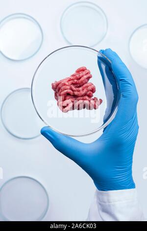 Immagine concettuale della carne coltivate coltivate in laboratorio. Foto Stock