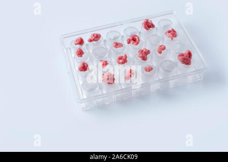 Immagine concettuale della carne coltivate coltivate in laboratorio. Foto Stock