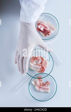 Immagine concettuale della carne coltivate coltivate in laboratorio. Foto Stock