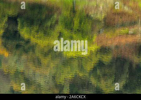 Riflessioni di Rydal acqua nel Parco nazionale del Lake District Cumbria Foto Stock