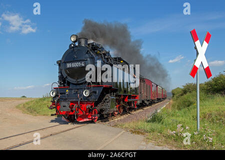 Un treno a vapore della Ferrovia Selketal vicino Quarmbeck, Sassonia-Anhalt, Germania Foto Stock