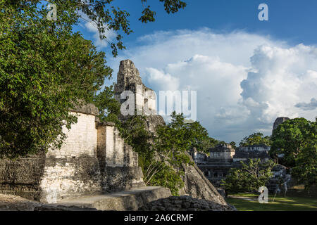 Tempio che io o tempio della grande Jaguar, è una piramide funeraria dedicata a Jasaw Chan K'awil, che fu seppellito nella struttura in ANNUNCIO 734. Il pyram Foto Stock