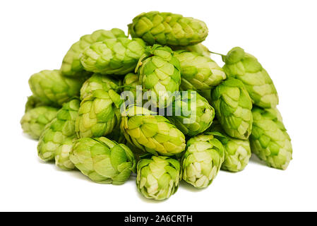 Cumulo di hop verde isolato su sfondo bianco. Pila di luppolo, ingrediente per la fabbrica di birra industria. Foto Stock