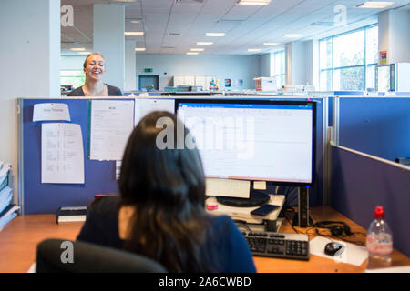 Due elementi femmina di chat personale attraverso un ufficio open space al di sopra dei divisori Foto Stock