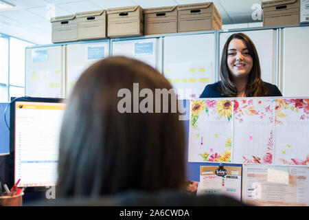 Due elementi femmina di chat personale attraverso un ufficio open space al di sopra dei divisori Foto Stock