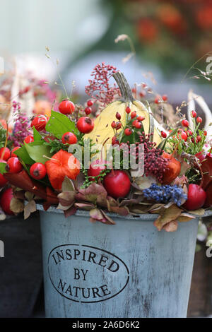 Inspered dalla natura - Fiori, still life, i colori autunnali - Halloween - Bratislava, Slovacchia - 23 ott 2019 - Credito Ilona Barna Foto Stock