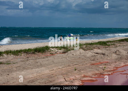 La spiaggia di Pontal de Maracaipe, un insediamento sulla spiaggia vicino alla città di Porto de Galinas, Stato di Pernambuco, Brasile. Foto Stock