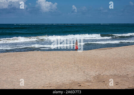 La spiaggia di Pontal de Maracaipe, un insediamento sulla spiaggia vicino alla città di Porto de Galinas, Stato di Pernambuco, Brasile. Foto Stock