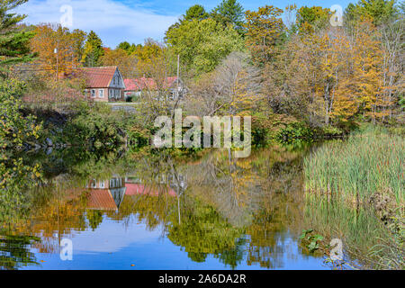 Alberi colori di tornitura Foto Stock