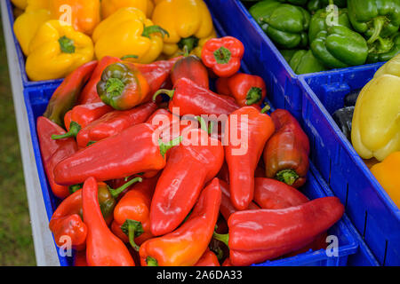 Vegetali ad un mercato degli agricoltori Foto Stock