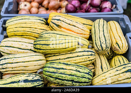 Vegetali ad un mercato degli agricoltori Foto Stock