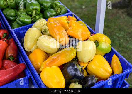Vegetali ad un mercato degli agricoltori Foto Stock
