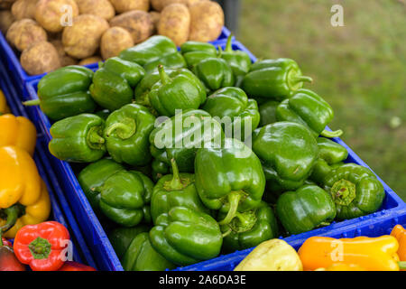 Vegetali ad un mercato degli agricoltori Foto Stock
