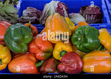 Vegetali ad un mercato degli agricoltori Foto Stock