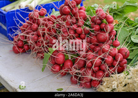 Vegetali ad un mercato degli agricoltori Foto Stock