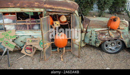 Scolpite scene di zucca Foto Stock
