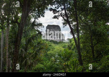 Tempio IV, in Maya sito archeologica di Tikal è il più alto di pre-Colombiano struttura ancora in piedi nel Nuovo Mondo a 64,6 metri (212 ft) alta. Foto Stock