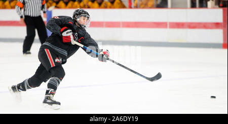 Columbus, Ohio, Stati Uniti d'America. 25 ott 2019. Ohio State Buckeyes defenceman Jincy Dunnel (33) prende un tiro in porta contro Minnesota nel loro gioco in Columbus, Ohio. Brent Clark/CSM/Alamy Live News Foto Stock