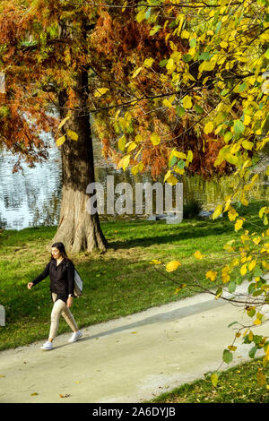 Woman Walk, Autunno nel parco cittadino Stromovka Praga Holesovice che cade foglie Foto Stock
