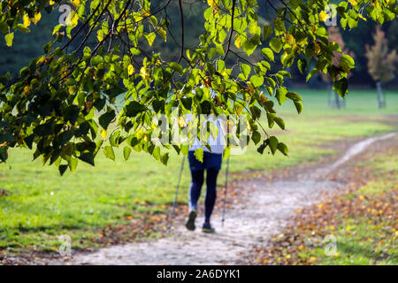 Donna nordic walking su un sentiero in un parco visto attraverso le foglie autunnali di un tiglio in autunno Foto Stock