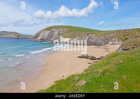 Coumeenoule spiaggia a Slea testa sulla penisola di Dingle, Repubblica di Irlanda. Foto Stock