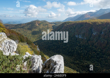 Suggestiva valle con fitti boschi e rocce grigie in primo piano nel Parco Nazionale d'Abruzzo, Barrea, Abruzzo, Italia Foto Stock