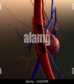 Arteria e gli eritrociti, vasi sanguigni, arteria mostrato con una sezione tagliata Foto Stock