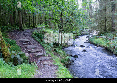 Gradini in pietra e cascate sul Kennick masterizzare, Dumfries and Galloway, Scozia Foto Stock