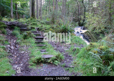 Gradini in pietra e cascate sul Kennick masterizzare, Dumfries and Galloway, Scozia Foto Stock