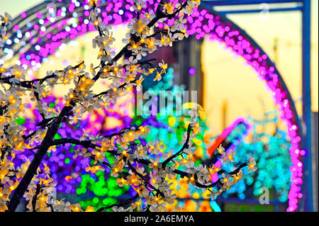 Tramonto dietro l'albero illuminato giardino in Blackpool luminarie Foto Stock