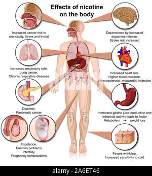 Effetti di nicotina sul corpo medico illustrazione vettoriale ed infografico isolati su sfondo bianco Illustrazione Vettoriale